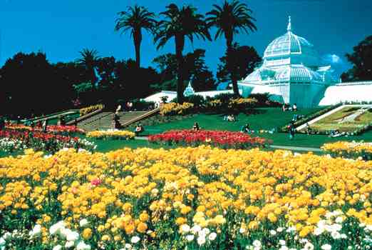 Golden Gate Park’s Conservatory of Flowers San Francisco Convention & Visitor’s Bureau